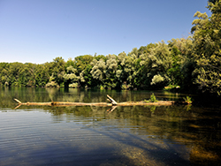 Foto des Naherholungsgebiets am Weikerlsee