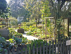 Foto: Archiv der Stadt Linz Botanischer Garten