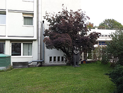 Foto: Archiv der Stadt Linz Fachhochschule