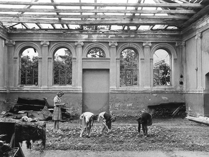Foto: Archiv der Stadt Linz 5_1946_Bombenschaeden_Baumbachschule_Anbau_Tabakpflanzen_Turnhalle_Foto_Archiv_der_Stadt_Linz